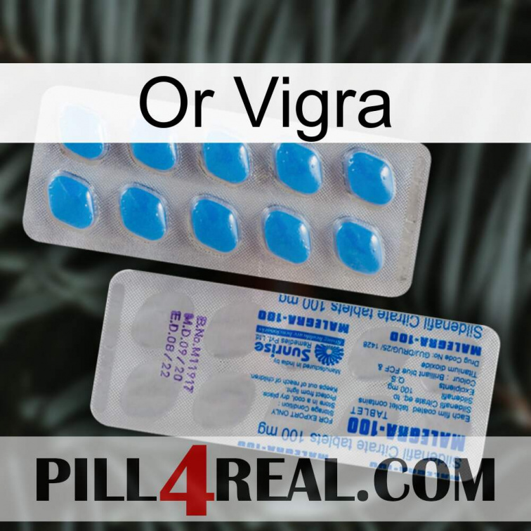 Gold Vigra new15